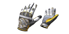 Gloves Champion
