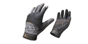 Gloves Phoenix Risen