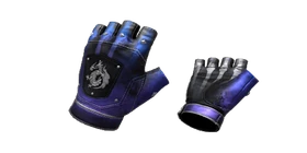 Gloves X-Ray