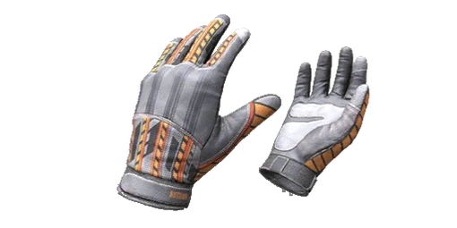 Gloves Autumn