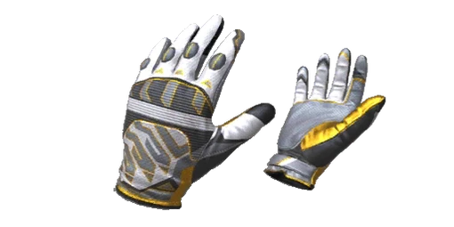 Gloves Champion