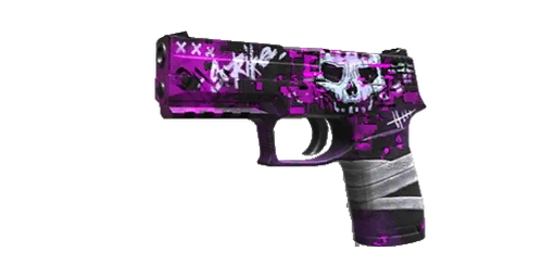 P350 Raider