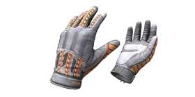 Gloves Autumn